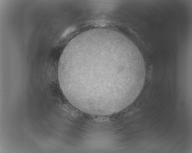 X0000076091446200610202054