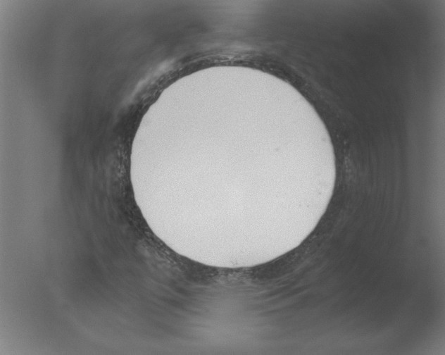 X0000076091447200610202054