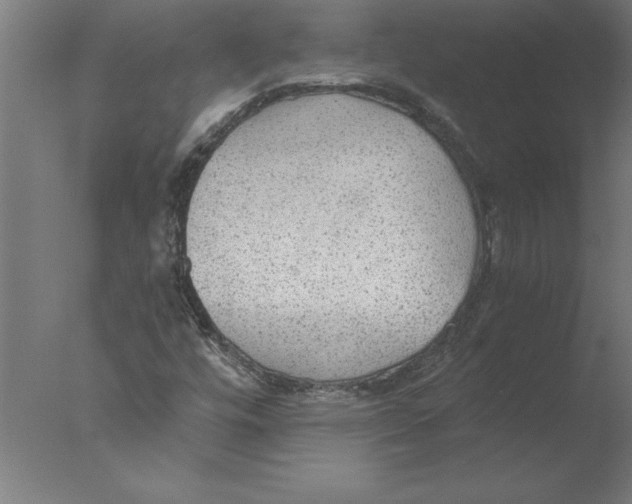 X0000076091448200610202054