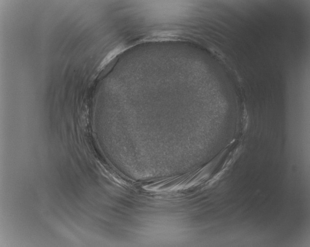 X0000076091449200610202054