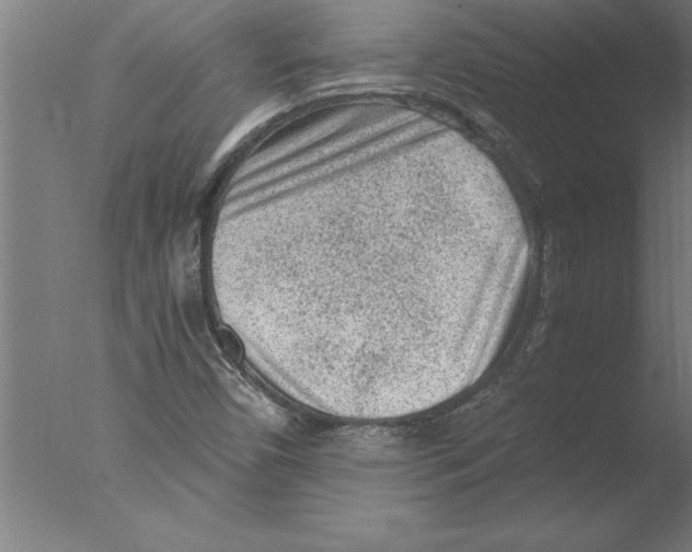 X0000076091450200610202054