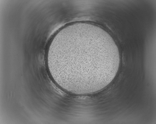 X0000076091452200610202054