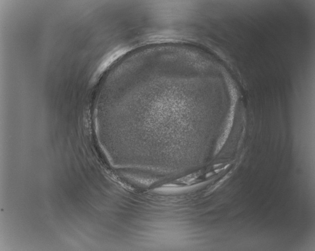 X0000076091453200610202054