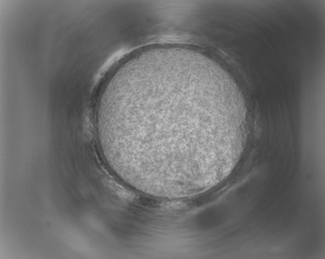 X0000076091454200610202054