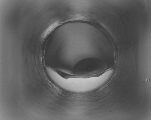 X0000076091455200610202054