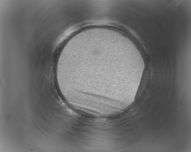 X0000076091456200610202054