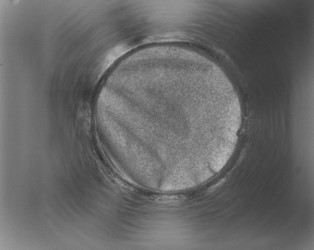 X0000076091457200610202054