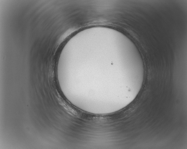 X0000076091458200610202054