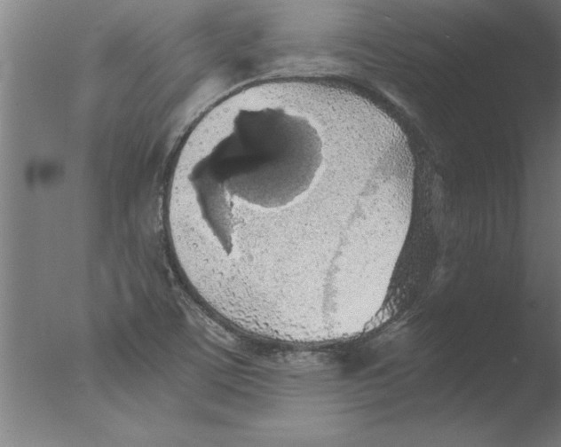 X0000076091459200610202054