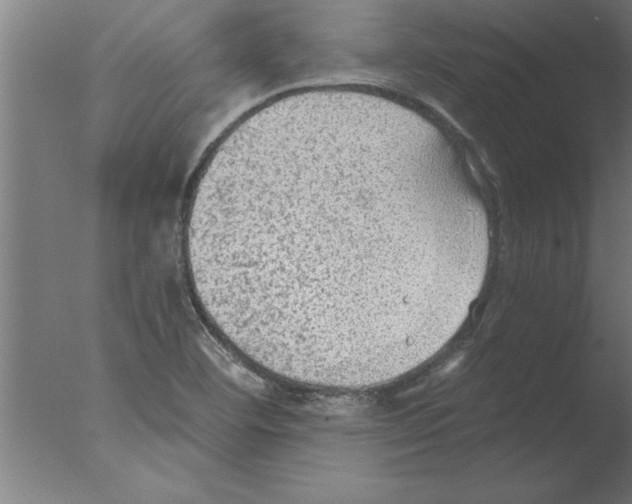 X0000076091460200610202053