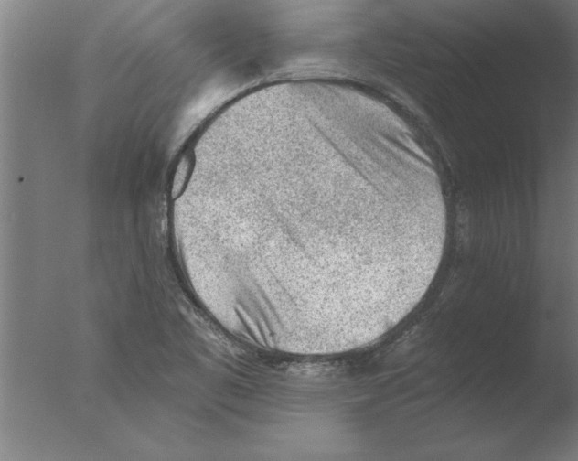 X0000076091461200610202053