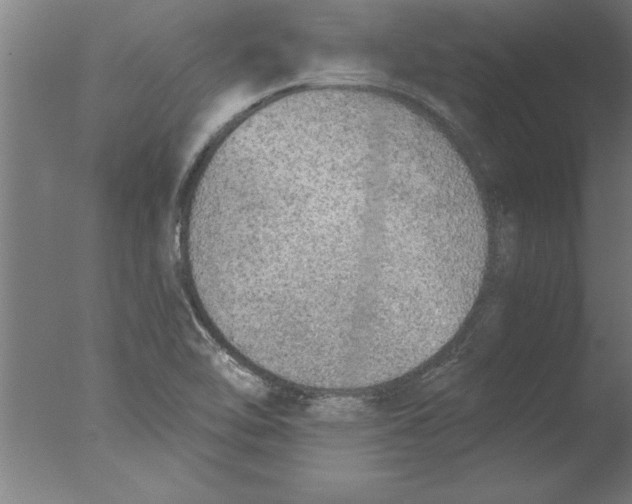 X0000076091462200610202053