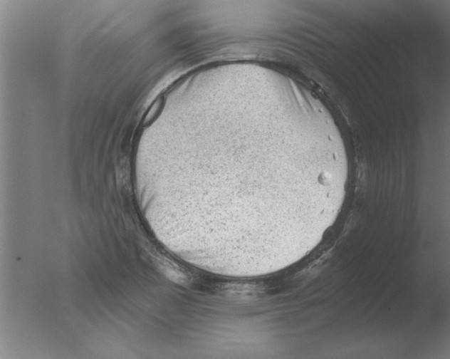 X0000076091465200610202053