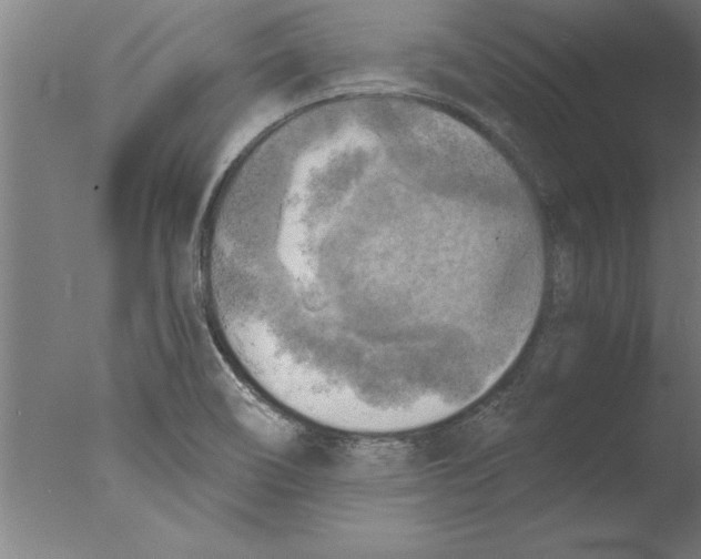 X0000076091466200610202053