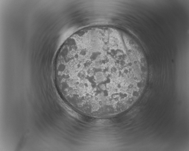 X0000076091467200610202053