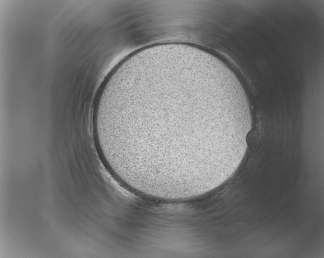 X0000076091468200610202053