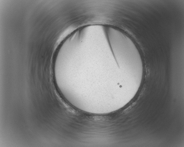 X0000076091469200610202053