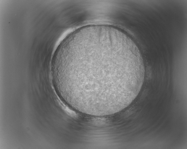 X0000076091470200610202053