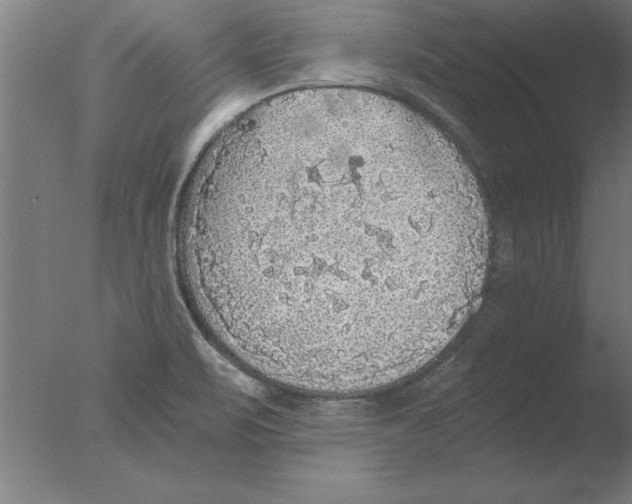 X0000076091471200610202053