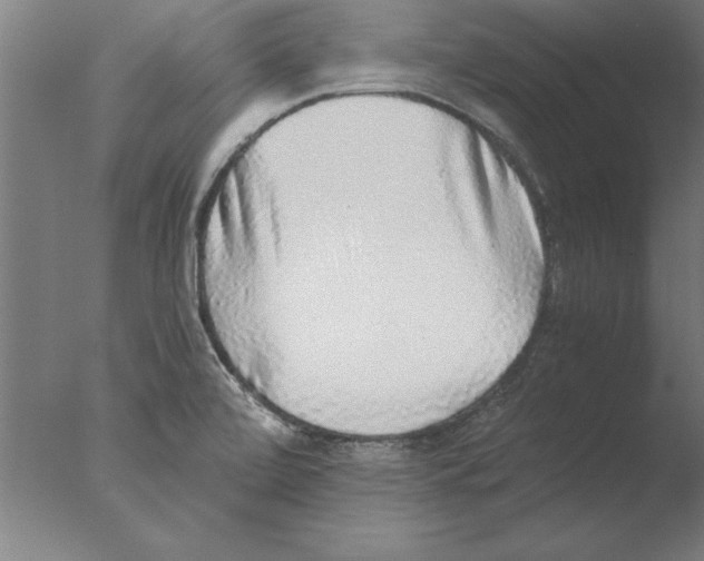 X0000076091472200610202053