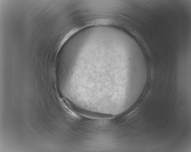 X0000076091473200610202053