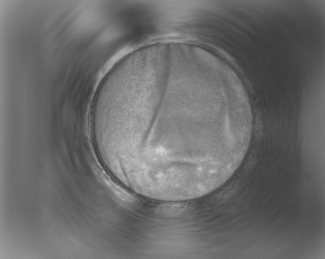 X0000076091474200610202053