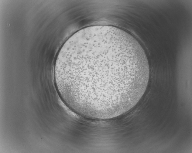 X0000076091476200610202053