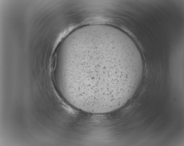 X0000076091477200610202053