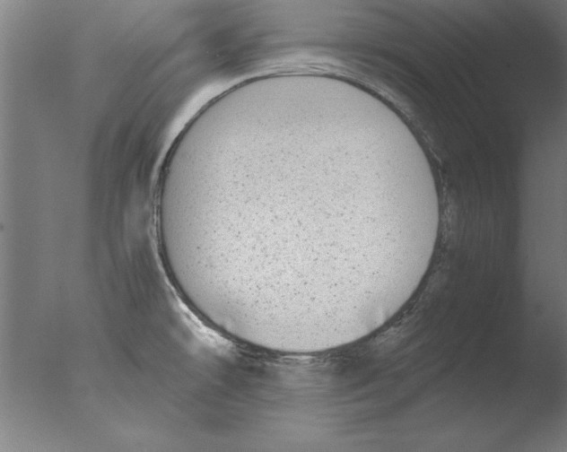 X0000076091478200610202053