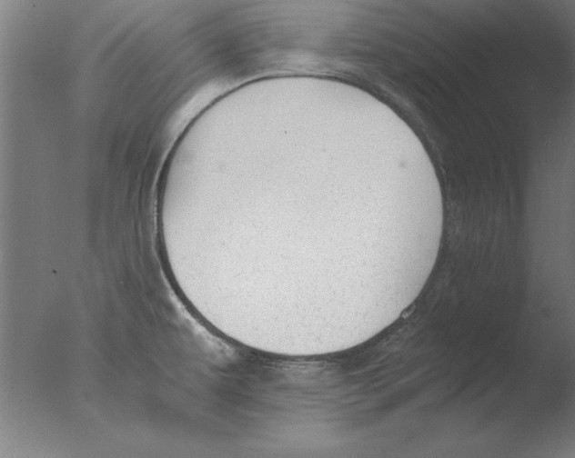 X0000076091479200610202053