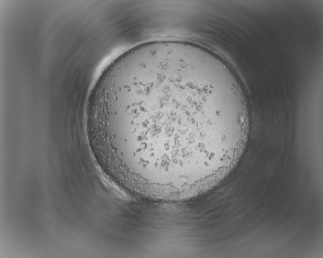 X0000076091480200610202053