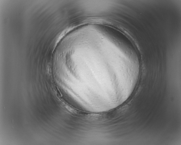 X0000076091481200610202053