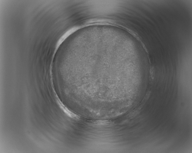 X0000076091482200610202053