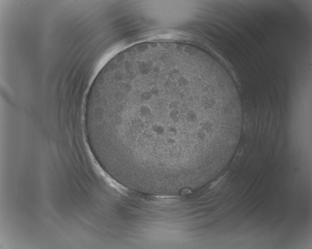 X0000076091483200610202053