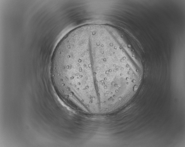 X0000076091484200610202053