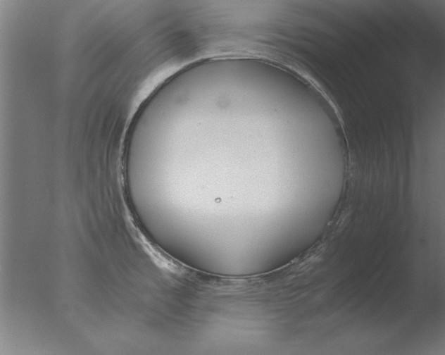 X0000076091485200610202053