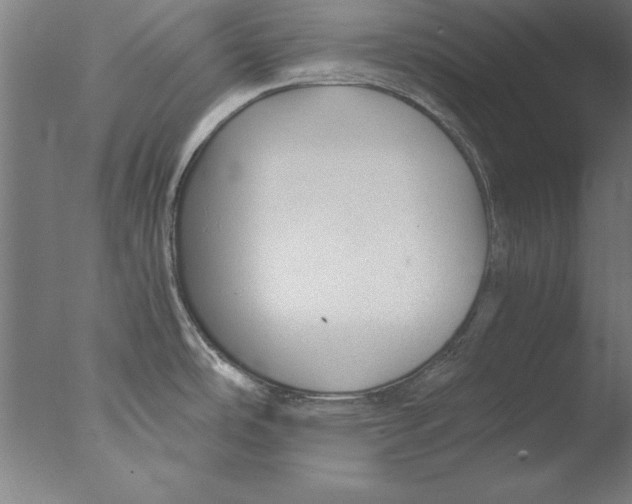 X0000076091486200610202053