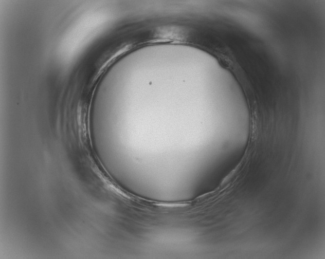 X0000076091487200610202053