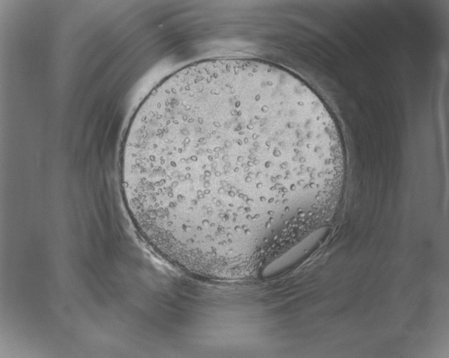 X0000076091488200610202053