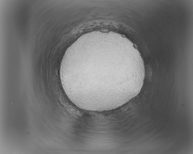 X0000076091489200610202052