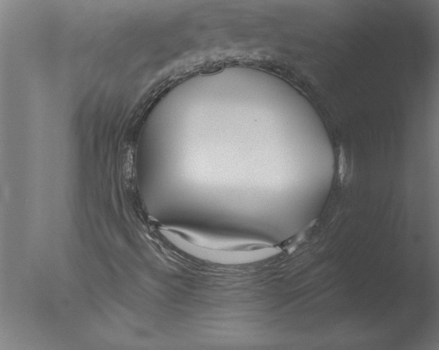 X0000076091492200610202052