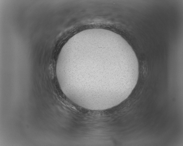 X0000076091493200610202052