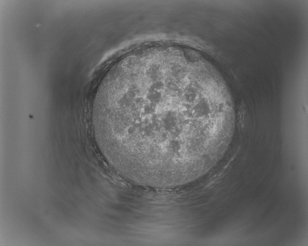 X0000076091494200610202052