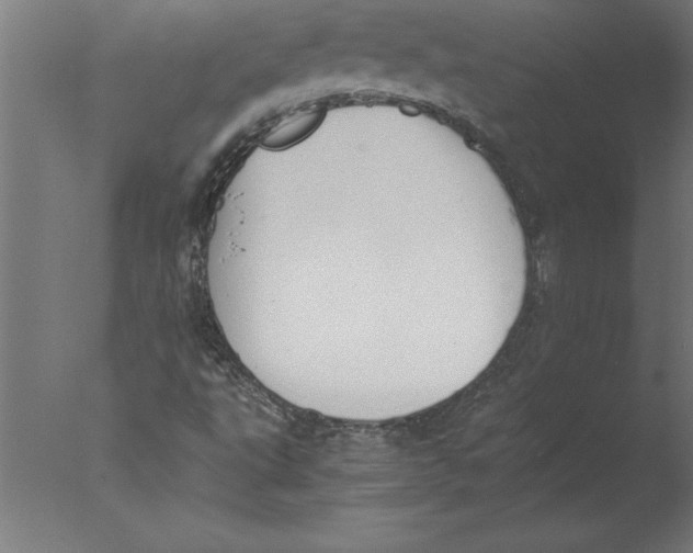 X0000076091495200610202052