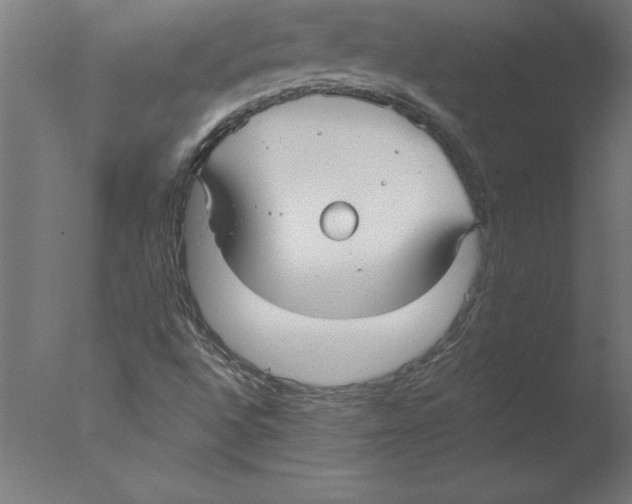 X0000076091496200610202052