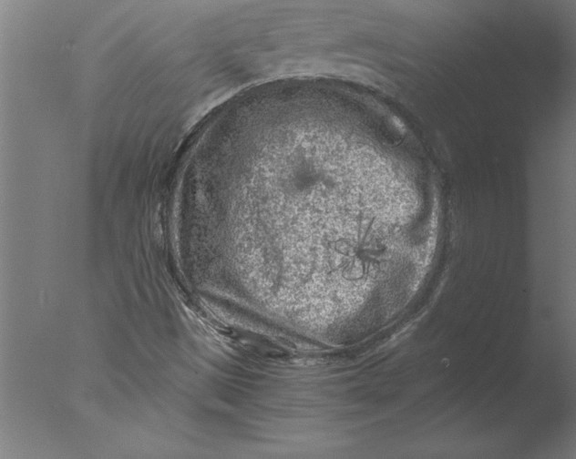 X0000076091497200610202052