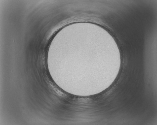 X0000076091498200610202052