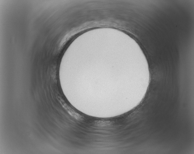 X0000076091499200610202052