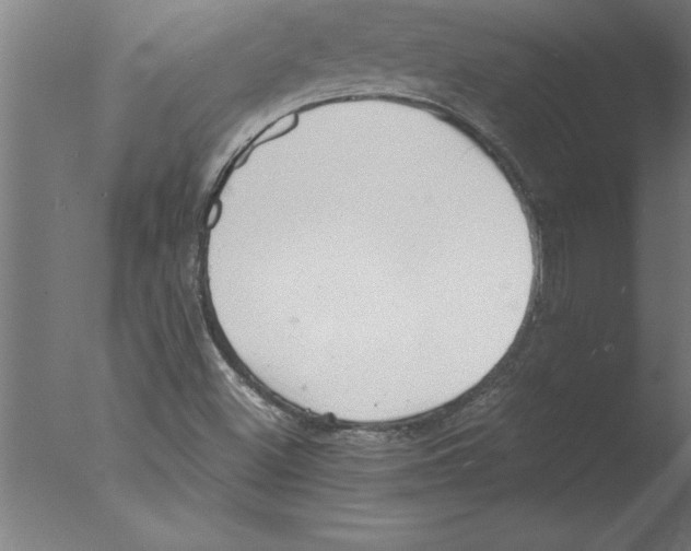 X0000076091500200610202052