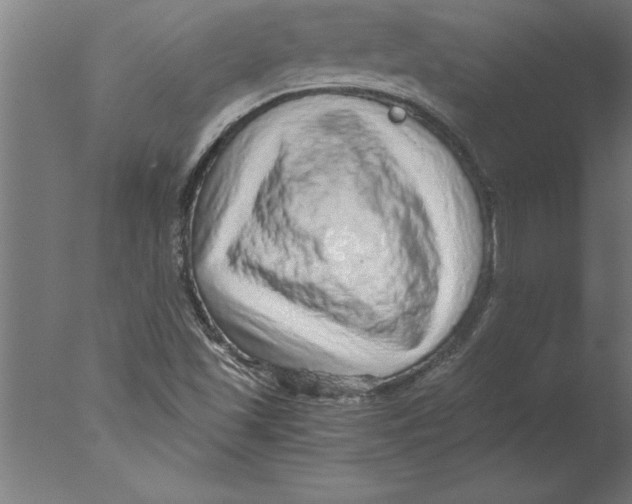 X0000076091501200610202052